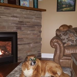 Meet your Posher, Joseph